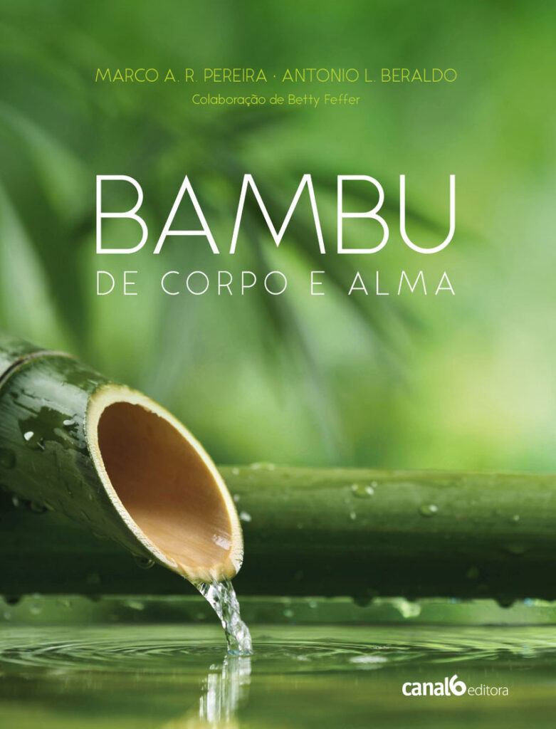 capa livro bambu de corpo e alma