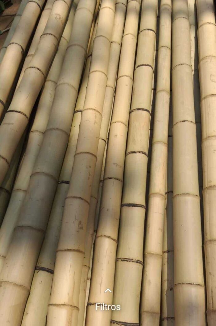 Bambu Mosso Tratado DJ Artes 08