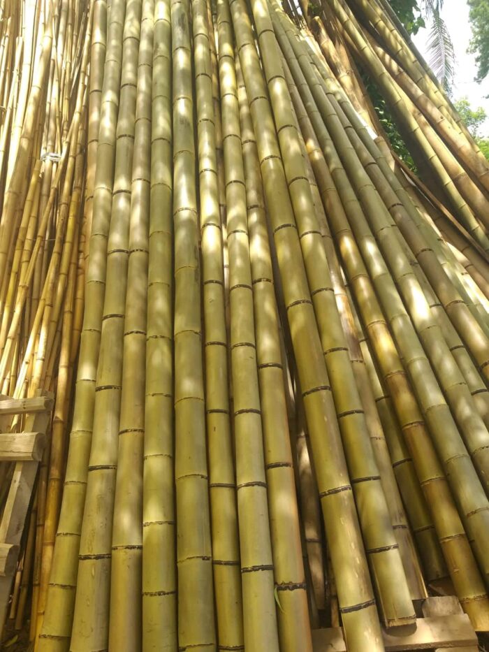 Bambu Mosso Tratado DJ Artes 09